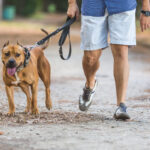 Man walking with his dog at park